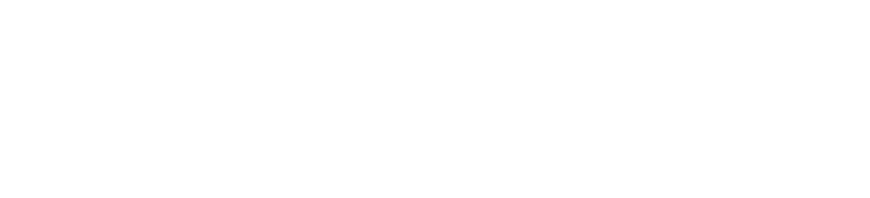 Ibi David logo